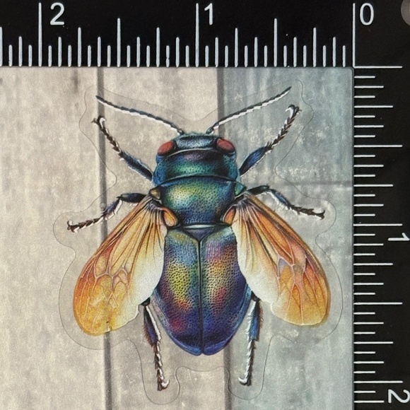 🌀10/$10🌀 Translucent Moth Dragonfly Beetle Reusable Waterproof Sticker Decal - Picture 1 of 1